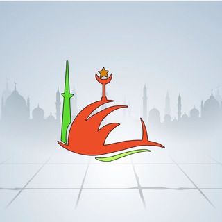 Telegram profile photo for Tareekh e Islam TV - Reserve Channel