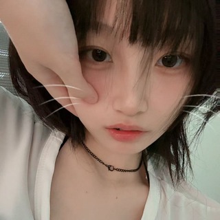 Telegram profile photo for 推特X每日视频