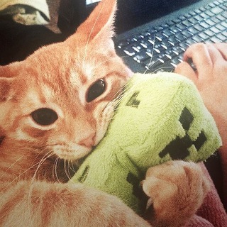 Telegram profile photo for Бандюга, The Real Dog