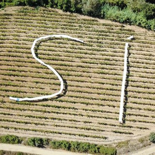 Telegram profile photo for A l'Arboç fem coses