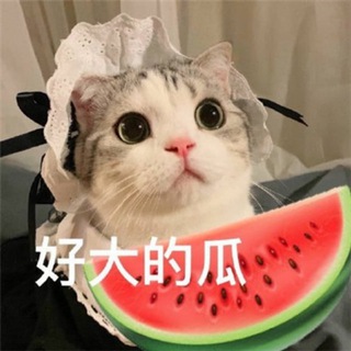 Telegram profile photo for 观天下爱吃瓜