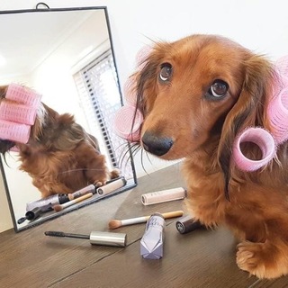 Telegram profile photo for отзывы лпвс от несс