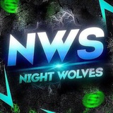 Telegram profile photo for nws_top