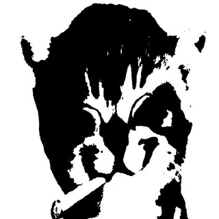 Telegram profile photo for Кольщик, наколи мне купола
