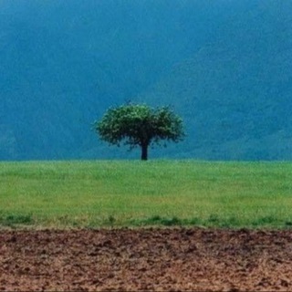 Telegram profile photo for سفسطه