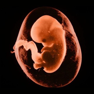 Telegram profile photo for Repro_ Med clinic🚺