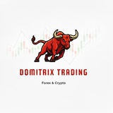 Telegram profile photo for Domitrix Trading
