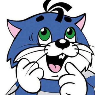Telegram profile photo for Холиварим о вакансиях в ИТ