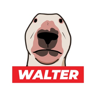 Telegram profile photo for WALTER | Portal