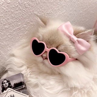 Telegram profile photo for يَومِيات فَتـاة وَرديـة 🎀