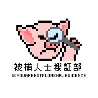 Telegram profile photo for 被捕人士搜證部