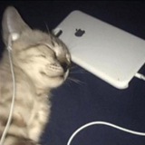 Telegram profile photo for rixxie4ka