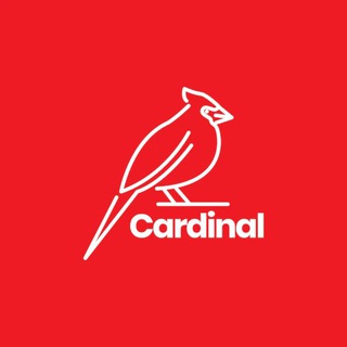 Telegram profile photo for Кардинал Трафика |
