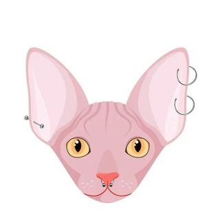 Telegram profile photo for NEPROSTO