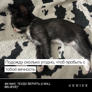 Telegram profile photo for dolbit normal’no