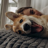 Telegram profile photo for Марсианские хроники 🐶🥐