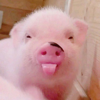 Telegram profile photo for женьшеня ..。*♡