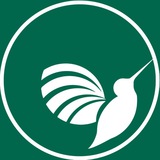 Telegram profile photo for Kalibri Education