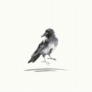 Telegram profile photo for Говорящая ворона