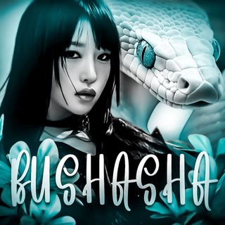 Telegram profile photo for Bushasha