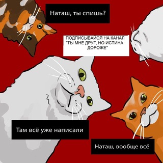 Telegram profile photo for Ты мне друг, но истина дороже