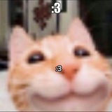 Telegram profile photo for CatSniff