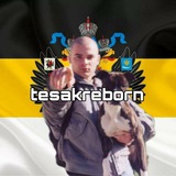 Telegram profile photo for Оккупай Педофиляй | ВОЗРОЖДЕНИЕ