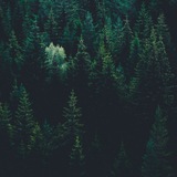 Telegram profile photo for Unrepeatable