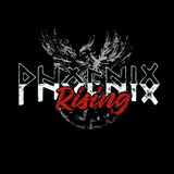 Telegram profile photo for Phoenix Rising