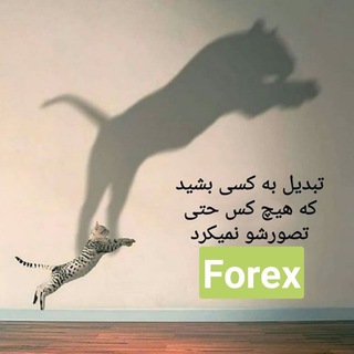 Telegram profile photo for فارکس