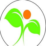 Telegram profile photo for Master Mind Global School & Jr. College