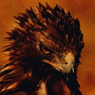 Telegram profile photo for дизайнерское логово