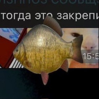 Telegram profile photo for паркур сьірок