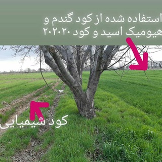 Telegram profile photo for شرکت فناور نانو سرو آرا شمال