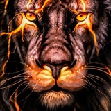 Telegram profile photo for All my Channel of @TeamNetro
