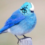 Telegram profile photo for ارشیدا حس میکنم جوابارو گذاشتم