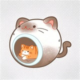 Telegram profile photo for 猫窝