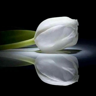 Telegram profile photo for الرقيه الشرعيه