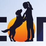 Telegram profile photo for ДИТИКОН/DTCON