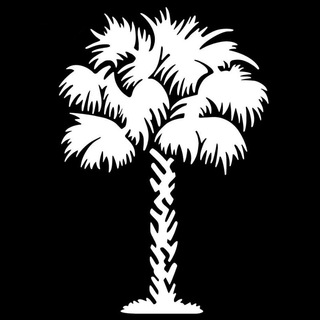 Telegram profile photo for Radio Palma