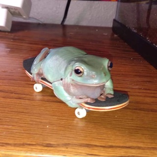 Telegram profile photo for Юля Амфибия 🐸