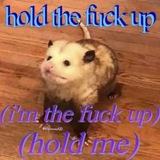 Telegram profile photo for Opossum memes