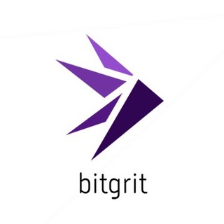 Telegram profile photo for bitgrit Data Science Community