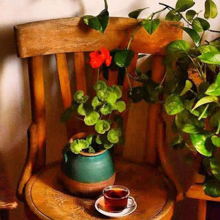 Telegram profile photo for 🌱 کافه دایی 📚☕️