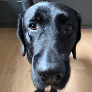 Telegram profile photo for www.paoqp7.Hub