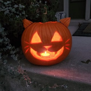 Telegram profile photo for 🎃 Лофус кор Хеллоуин эдишен 🎃