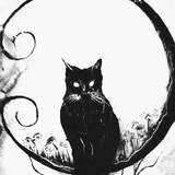 Telegram profile photo for Деньги. Танцы. Любовь