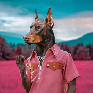 Telegram profile photo for DOBERMANN2030