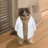Telegram profile photo for Z