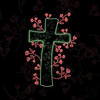 Telegram profile photo for not here